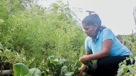 Fundaci&oacute;n Puertas Abiertas &iquest;C&oacute;mo funciona Familias Sostenibles?